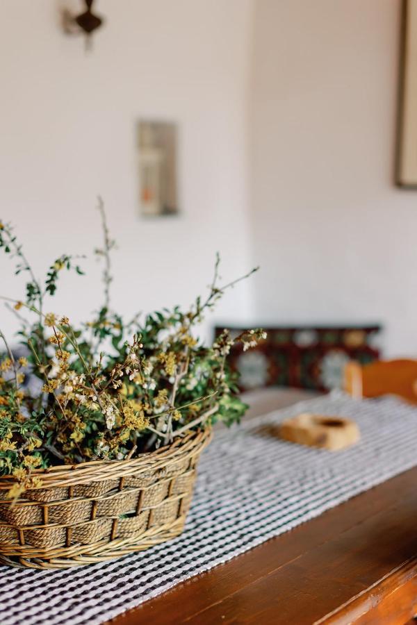 Appartement Archontiko Rapti Stone Traditional House Monodendri